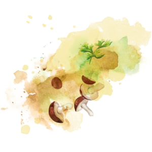 Splash slika
